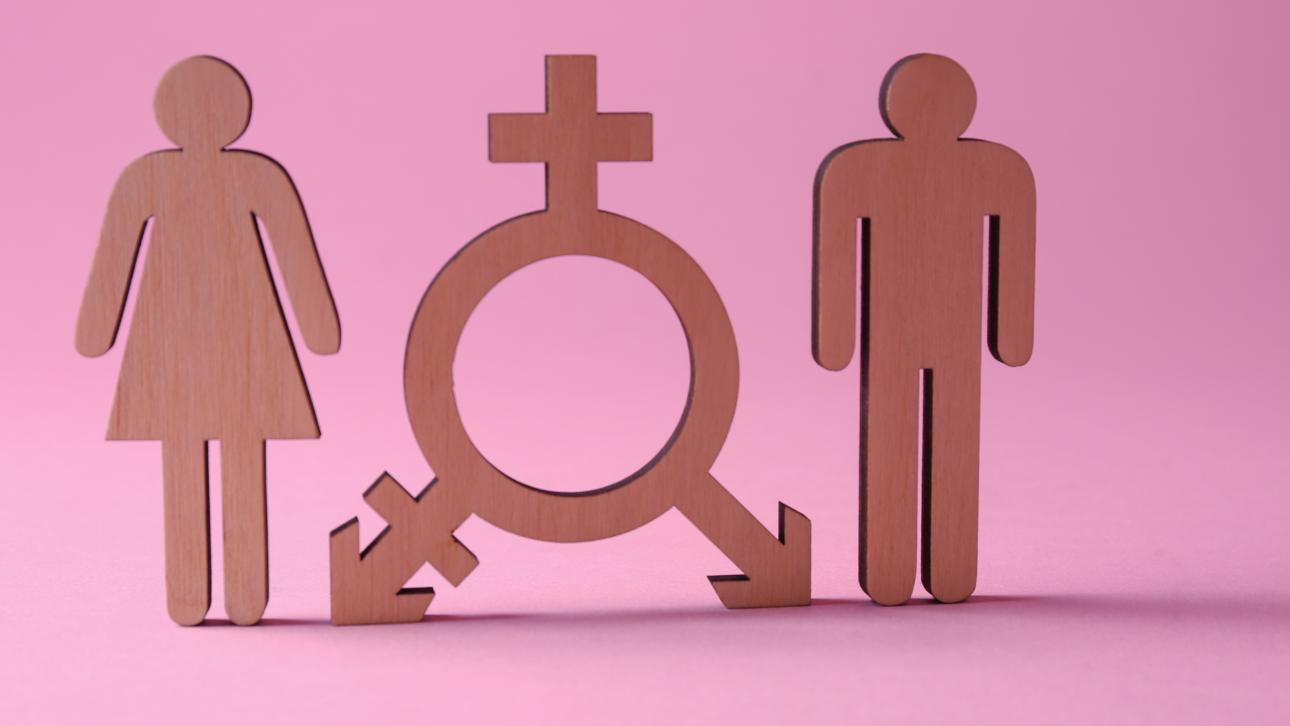 Symbole de la communauté transgenre placé entre un homme et une femme