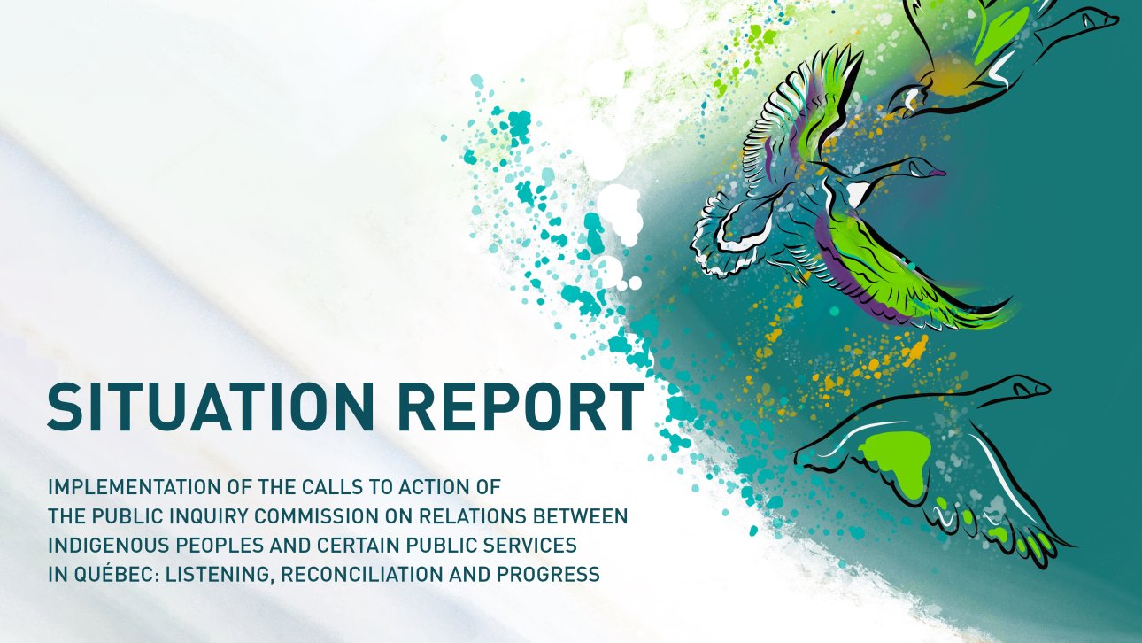 Cover image and title of the situation report on the implementation of the CERP's calls for action