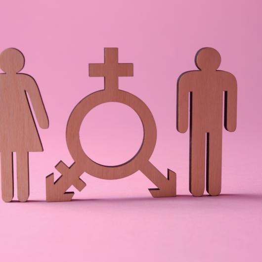 Symbole de la communauté transgenre placé entre un homme et une femme