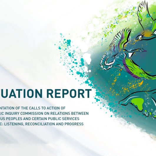 Cover image and title of the situation report on the implementation of the CERP's calls for action